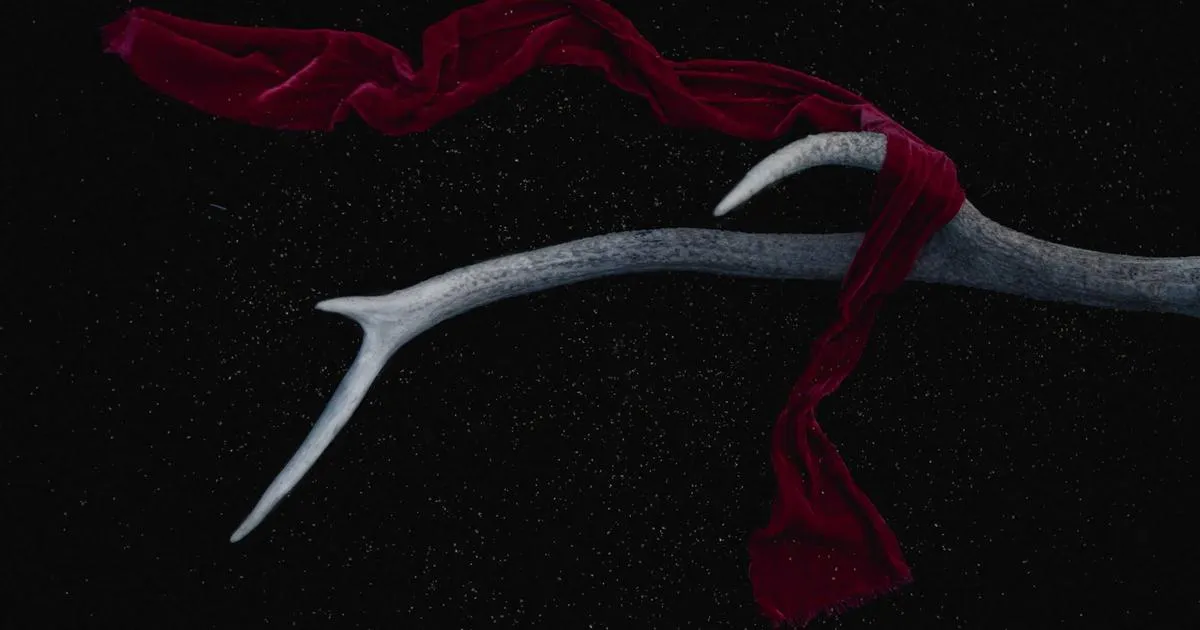 Best Smart Thermostat for Heat Pump Systems: 2026 Guide