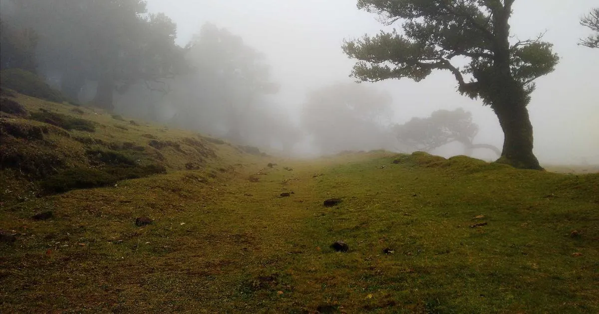 How Much Can a Smart Thermostat Save You in the US?